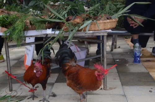 微信图片_20191023151215 微信图片_20191023151215