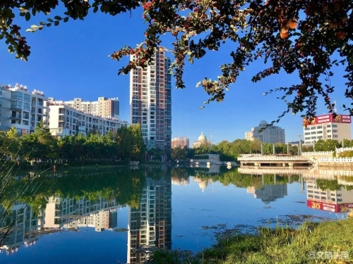 640.webp (5) 640.webp (5)