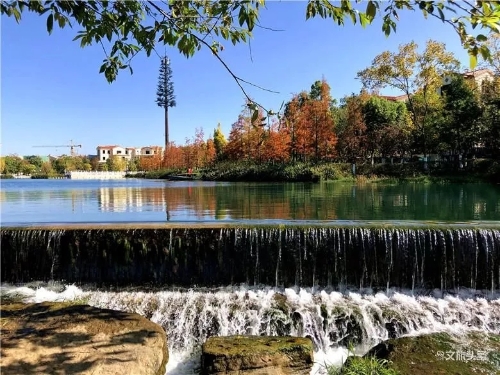 640.webp (11) 640.webp (11)