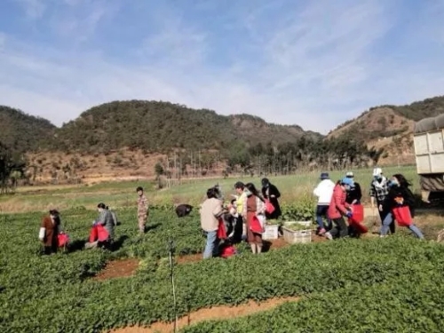 640.webp (2) 640.webp (2)