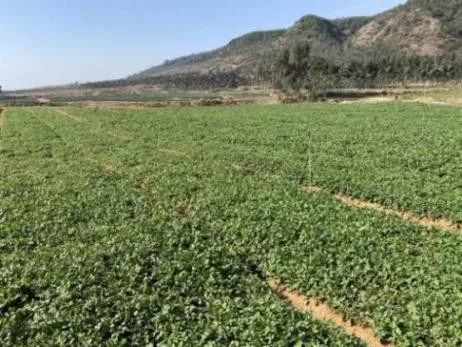 640.webp (3) 640.webp (3)