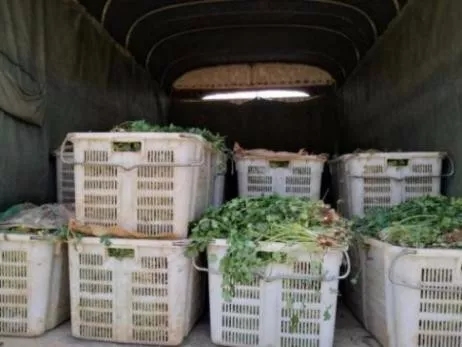 640.webp (5) 640.webp (5)