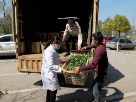 640.webp (6) 640.webp (6)