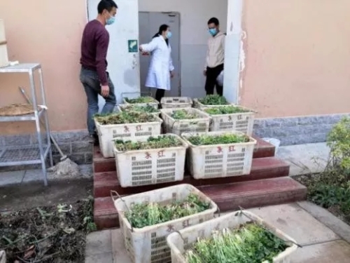 640.webp (8) 640.webp (8)