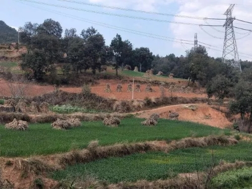 640.webp (10) 640.webp (10)