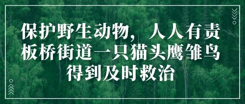 微信图片_20200521165028 微信图片_20200521165028