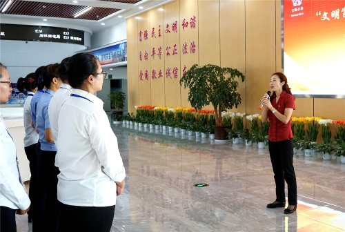 DSC06784_副本 DSC06784_副本