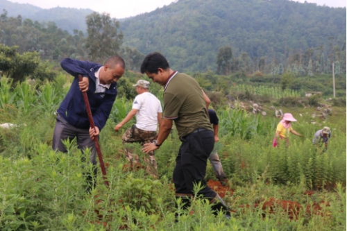 1597043144(1) 1597043144(1)