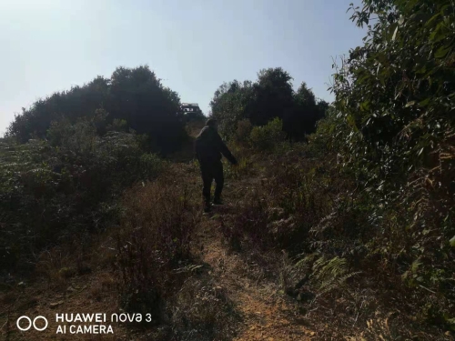 微信图片_202101141615381 微信图片_202101141615381